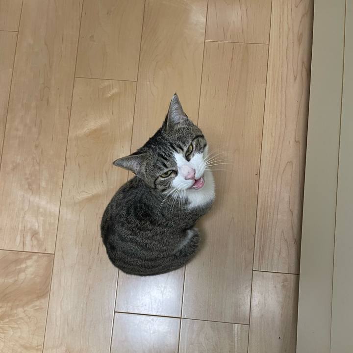 Bbb56938 bb27 4573 aa19 9706b900ade1 1740846798439