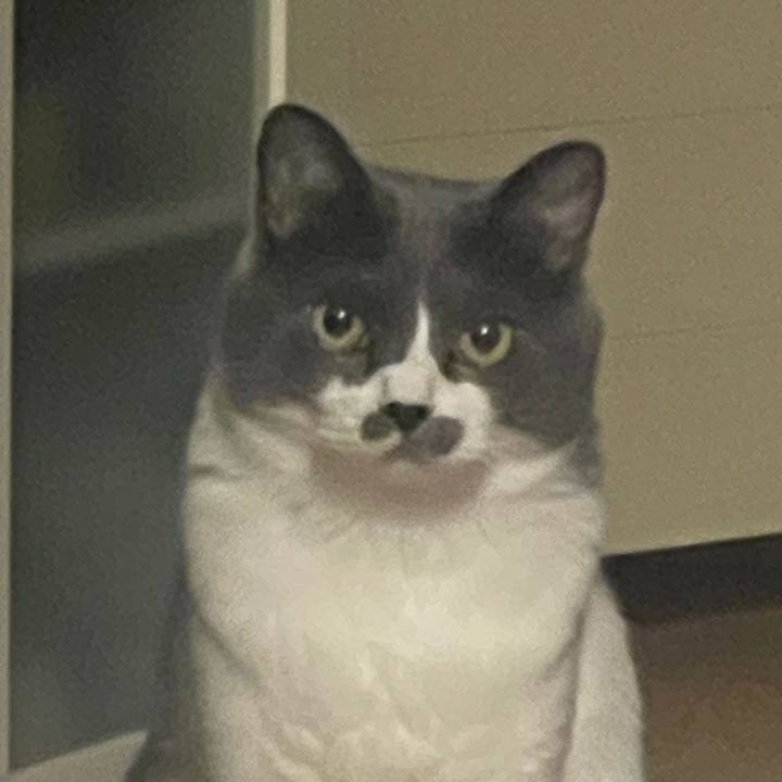 Bbb58163 a7a6 49ee af6a 7c2648776869 1723028314620