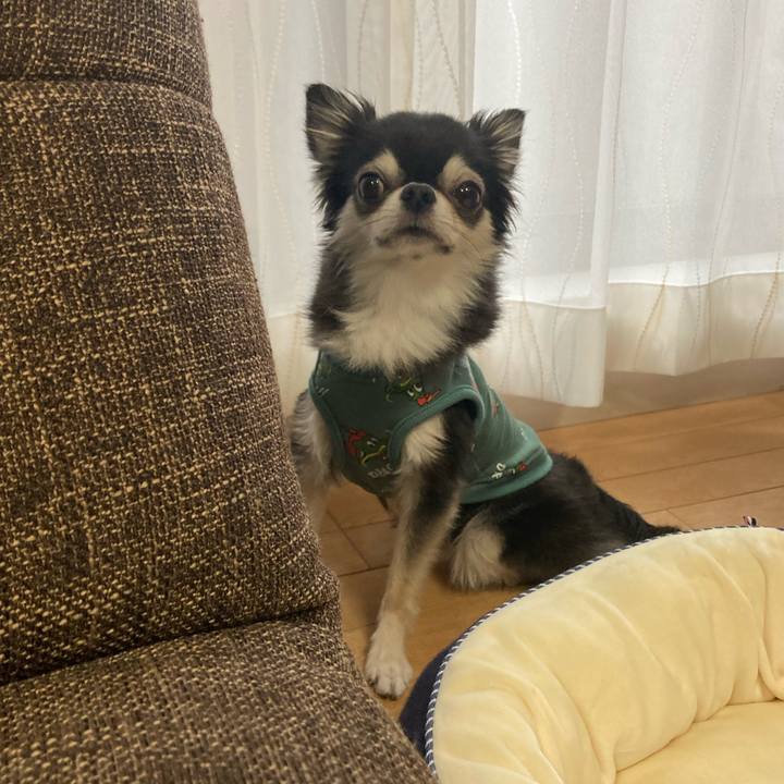 Bbb5a0b1 3570 4716 b8ee ac0bb292b78b 1697374826825