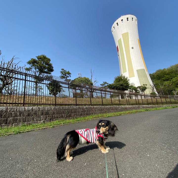 Bbb60498 4d45 4422 af88 cd457fff0547 1681175652918