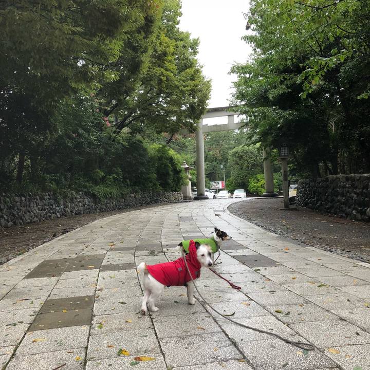 Bbb62948 71f6 42cb 8de6 14d097582a49 1536449467170