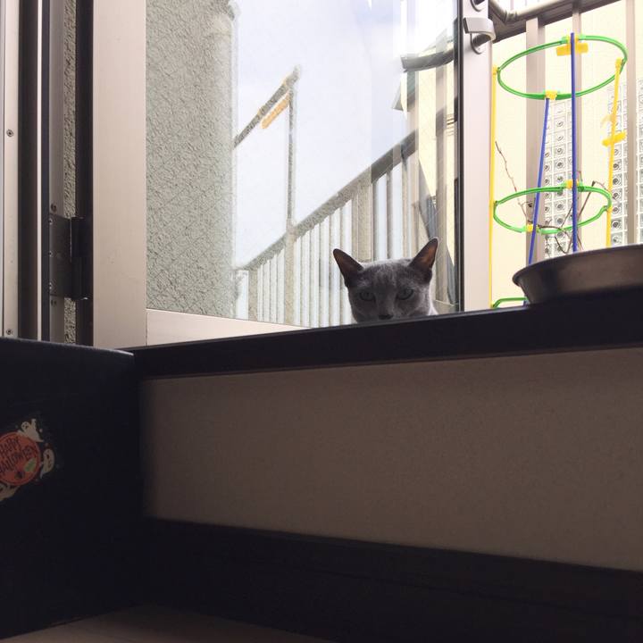 Bbb638d6 1628 4e24 a3f2 7c2906585e11 1529363518965