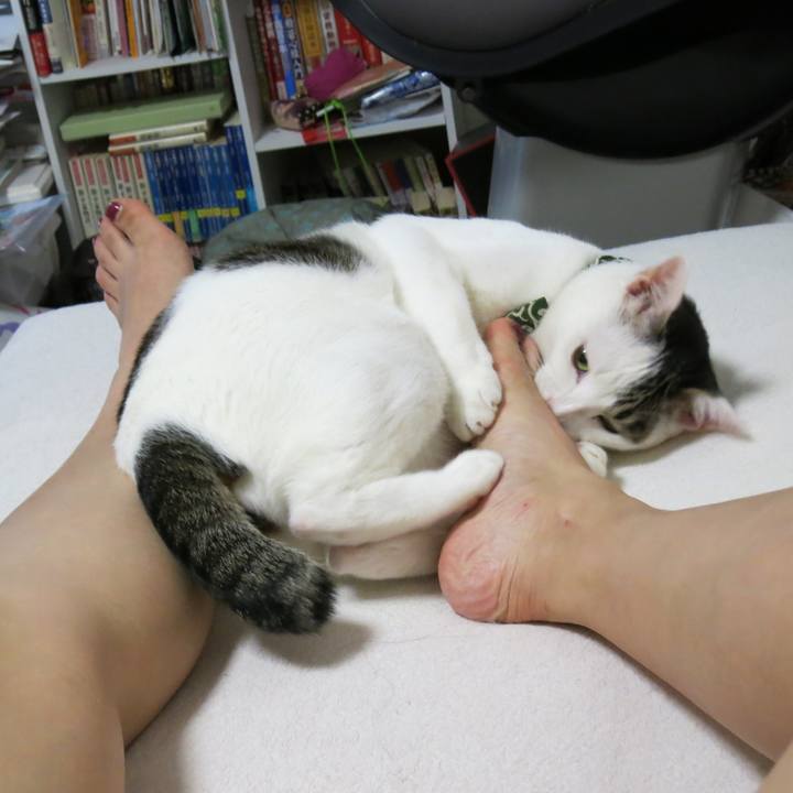 Bbb64ce2 0d7b 4ac4 b3b1 f73e3a7be32f 1539512621089