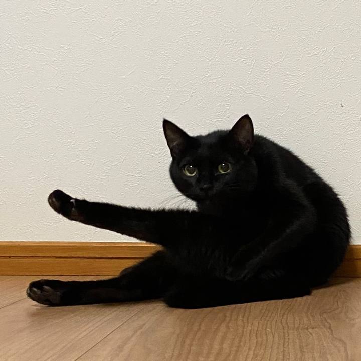 Bbb67eff 6b3d 4d94 84ea 54b5f197ee5e 1641559227383