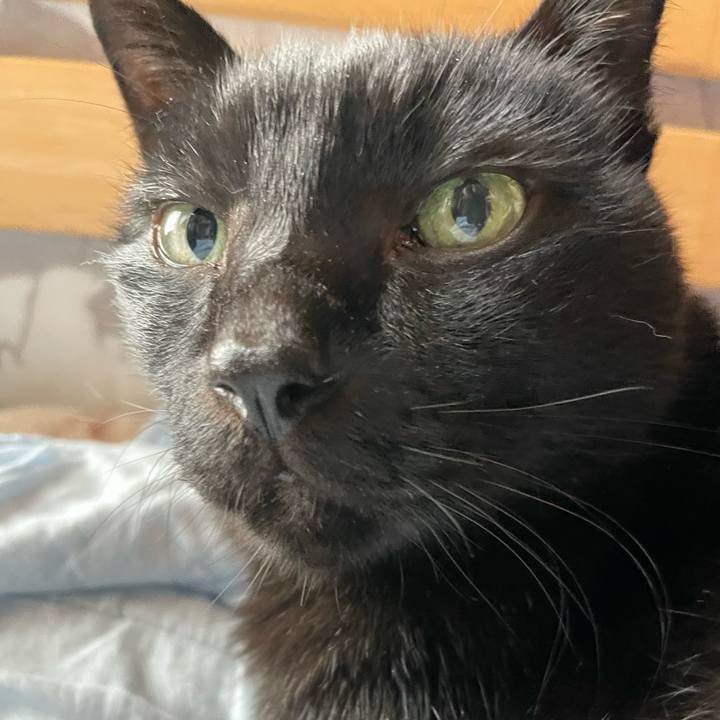 Bbb67f1f 0f3e 48a3 9ca8 a78c4d94e357 1634952252088