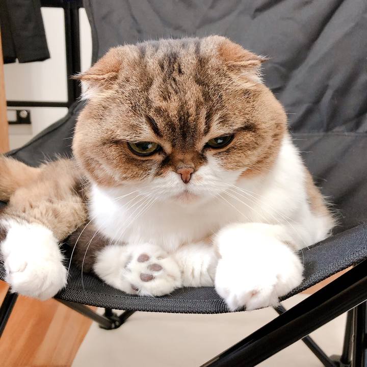 Bbb68ce0 6cd0 4aa2 b538 1727fa3e4167 1557895517249