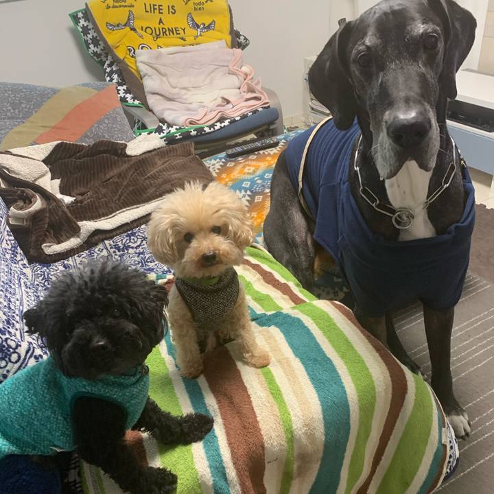 Bbb69faa e418 41d5 a889 213e362ee177 1581028556853