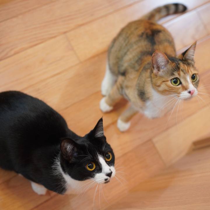 Bbb6bfbd 6883 478b 9748 7b5a5b035ee6 1619100228942