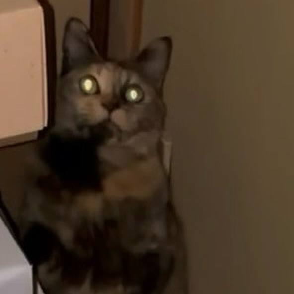 Bbb6d04e 52e7 4060 bc94 cd55c3bc02c7 1746563359407