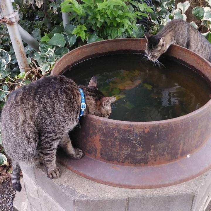 Bbb6f419 758b 4b67 8b42 af9c95bd4fc0 1569285355222