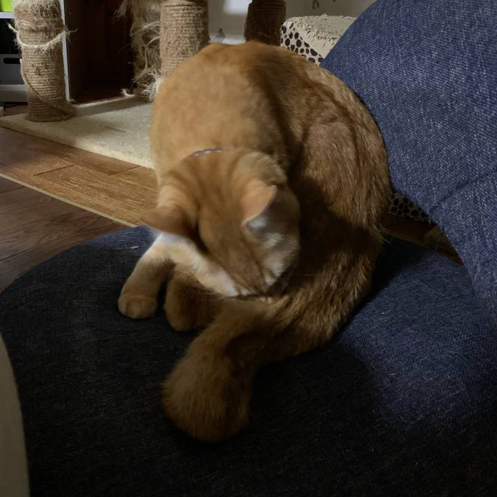 Bbb6f85f 9106 41bc 9dd4 5698e23a16b8 1614634725639