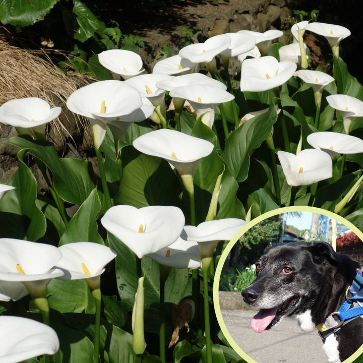 Bbb6f8ef 614a 424e abb8 f602cbd75bf0 1745714184017