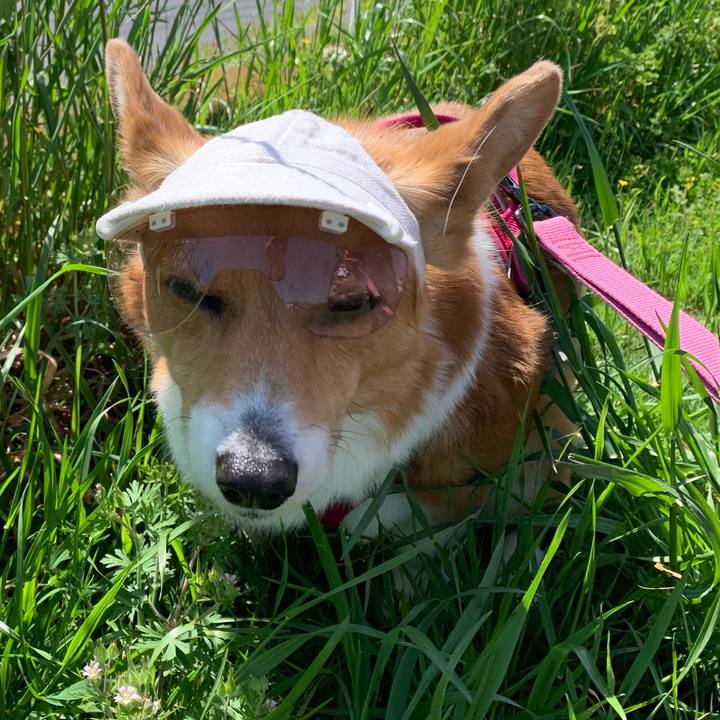 Bbb7179b be57 464d a8b8 82c8c526a36c 1714785858940