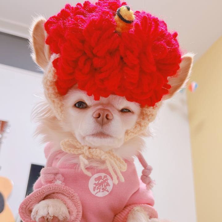 Bbb74d72 3158 41c6 9b43 36d25b65feec 1675416808169