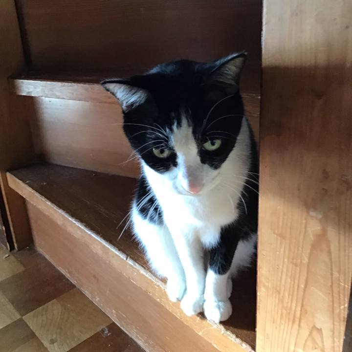 Bbb7580c 190e 4a19 8c9c cdd9314b3c65 1759996596949