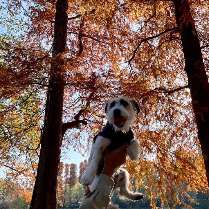 Bbb759fe cb29 45dc 9c18 1a12279bef73 1668861966951