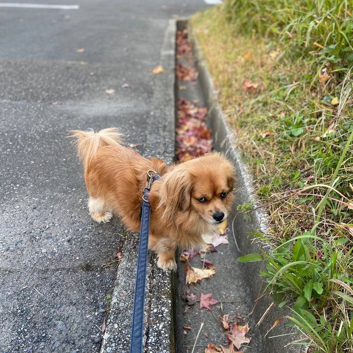 Bbb7643d f2ab 4bb6 9158 107e13d3c4e6 1573856531385