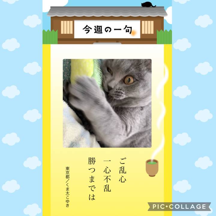Bbb79e00 126e 40c9 b8d1 e83fe85f6f80 1676896463983