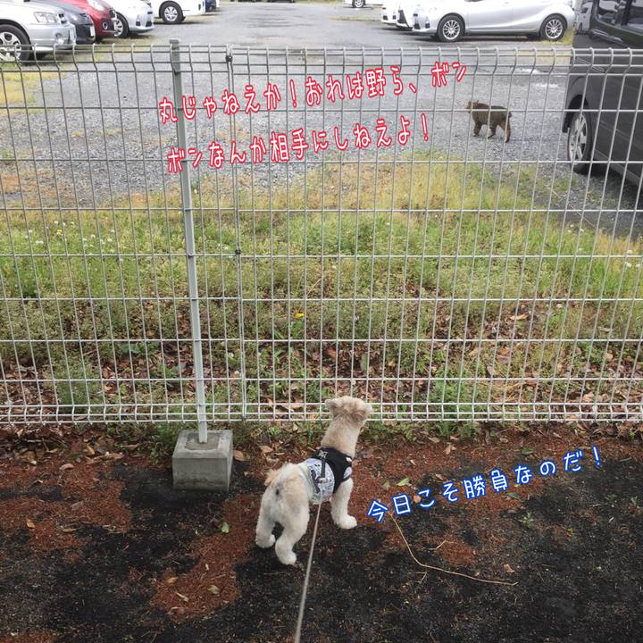 Bbb7bcae d62e 4555 8fc7 d5bd01cbdc83 1525870591134