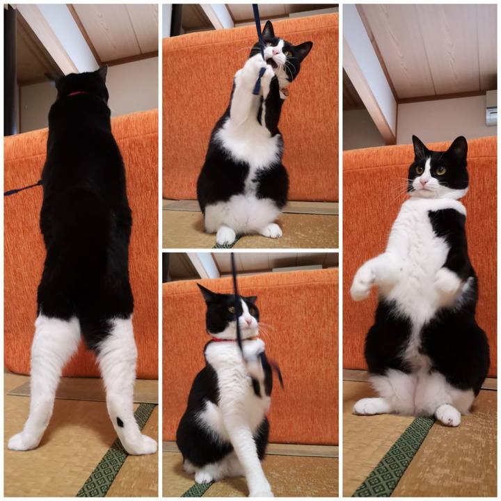 Bbb7d2cb 0f3d 4d41 8078 1d1cf5022f6f 1570530360459