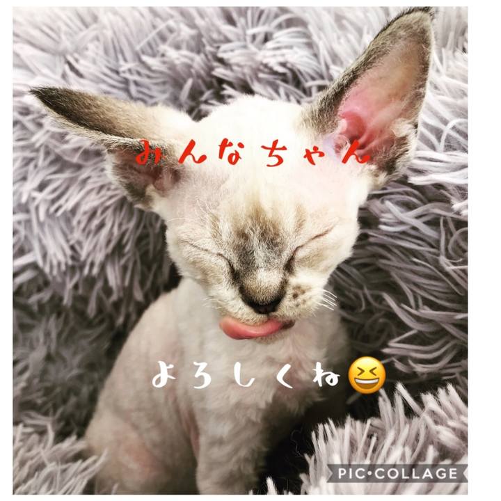 Bbb7f677 7c32 445a 91e5 eb30aed80334 1585991942394