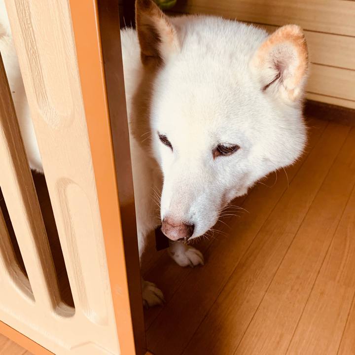 Bbb80d8d 59ec 4d47 81fe 3bd9f58a768b 1641817223953