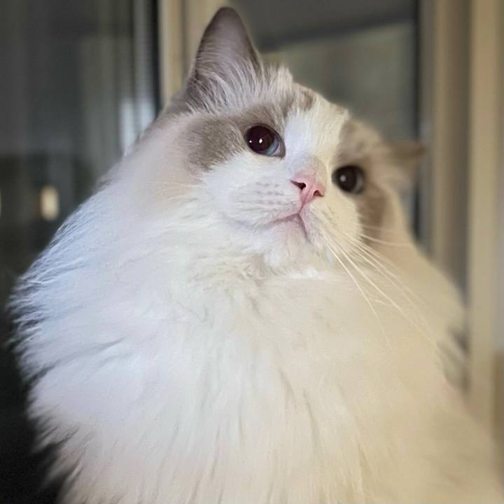 Bbb80ecd 1ce4 49fb 9842 1732c226712c 1696943962598