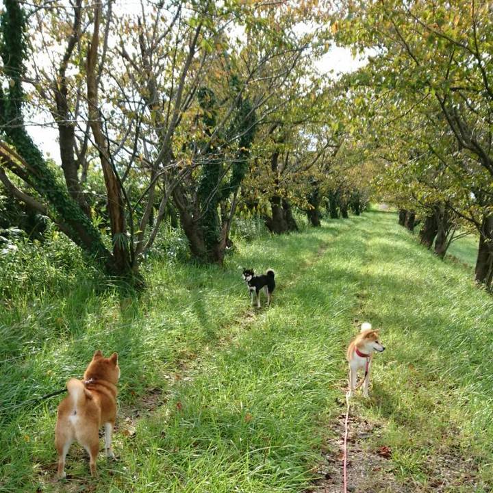 Bbb8179e 949c 412d 9ee8 fec764506157 1605173460358