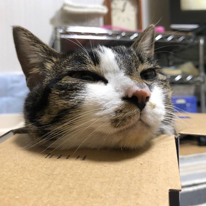 Bbb81f69 bdb6 4d51 bc25 ab5ae694e727 1611957272821