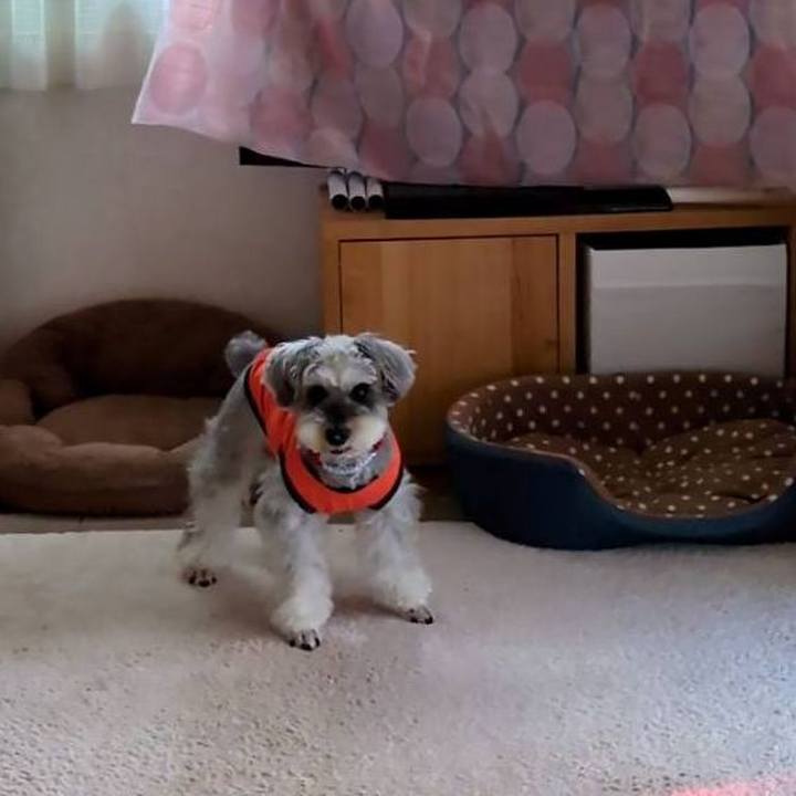 Bbb83d67 c067 413f aa97 9e5c3cb002a9 1761548743280