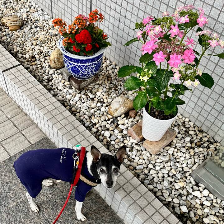 Bbb84790 18ca 4b12 bf4f 8af91b03b796 1652046614324