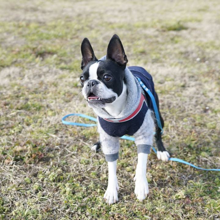 Bbb8695a 816d 49af 8470 c99e31733259 1518427487547