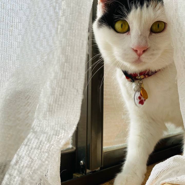 Bbb8717a f42e 4911 a96a 65a34f8fa971 1647862240437