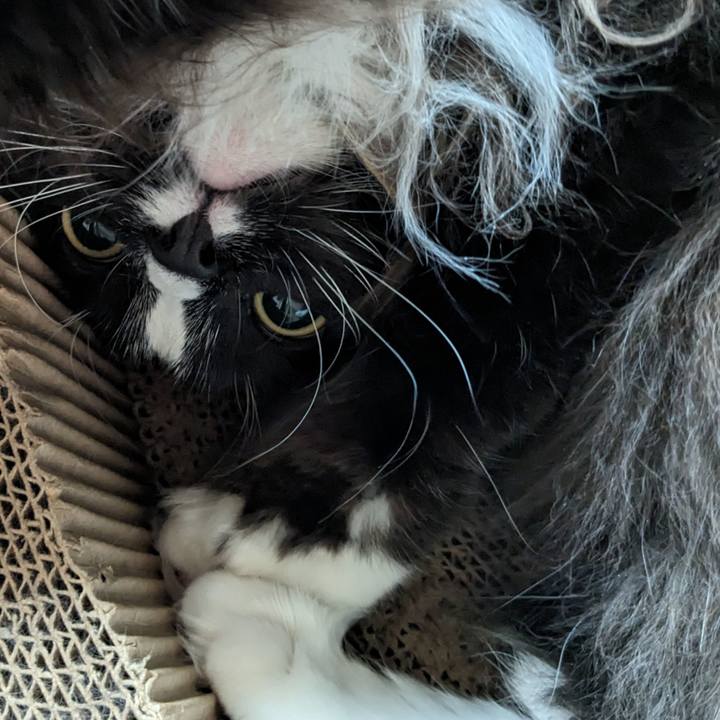 Bbb8857a 5d4a 4c16 b57e 328d8863b8a3 1697932700661