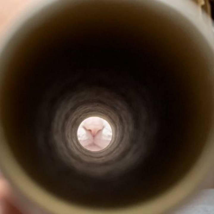 Bbb8869f 424c 4895 8049 cdddfb23b61b 1610098290912