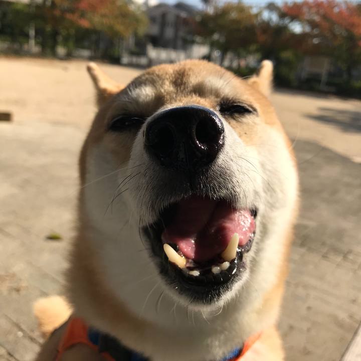 Bbb8a569 aa1c 439f b27f f452335b517b 1509799690650