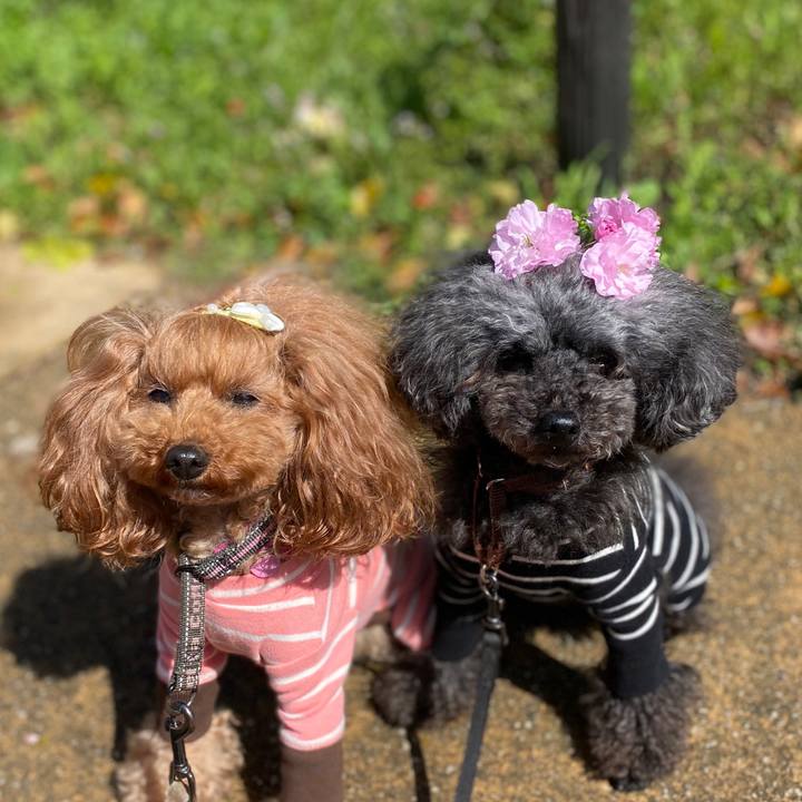 Bbb8af0d 47d7 48bd b233 7d92391a06bb 1586841908180