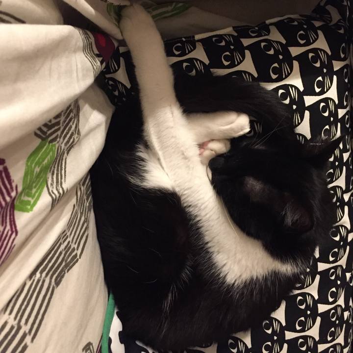 Bbb8e89c 150f 44da bd1d 74aa4c927b55 1518885450824