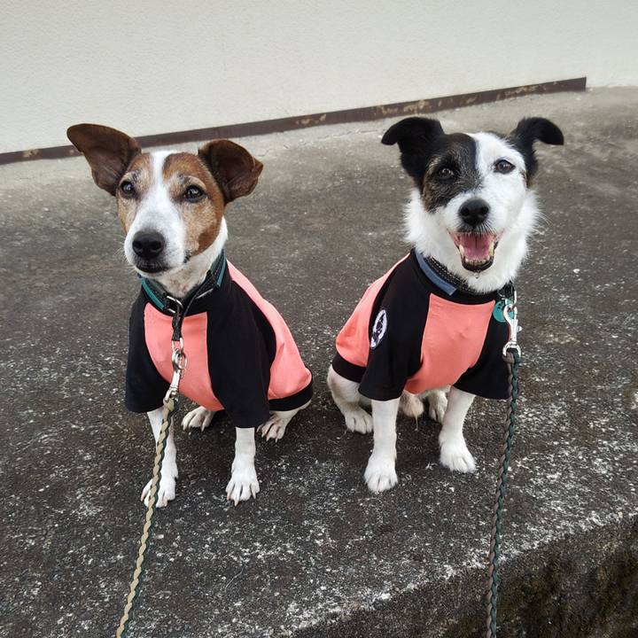 Bbb90559 af22 4b27 9386 d0432cab0c5c 1756676433841