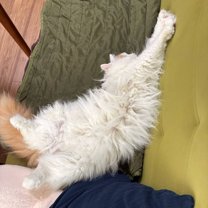 Bbb91519 9284 4d68 99bb 6e4bc642456a 1776397489317