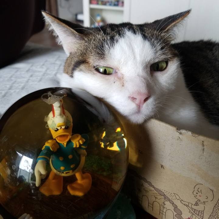 Bbb91c9d 718e 4f32 a194 b38a6b2309f5 1591402949485