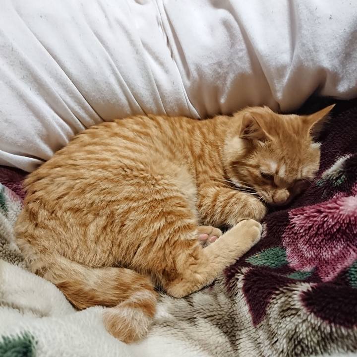 Bbb91f24 ffe9 4aaf 895d ebb85874741f 1637932171877