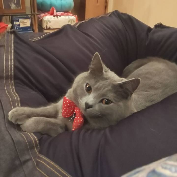 Bbb93e8a eeba 44ca bac5 41b085ac7f66 1548243727941