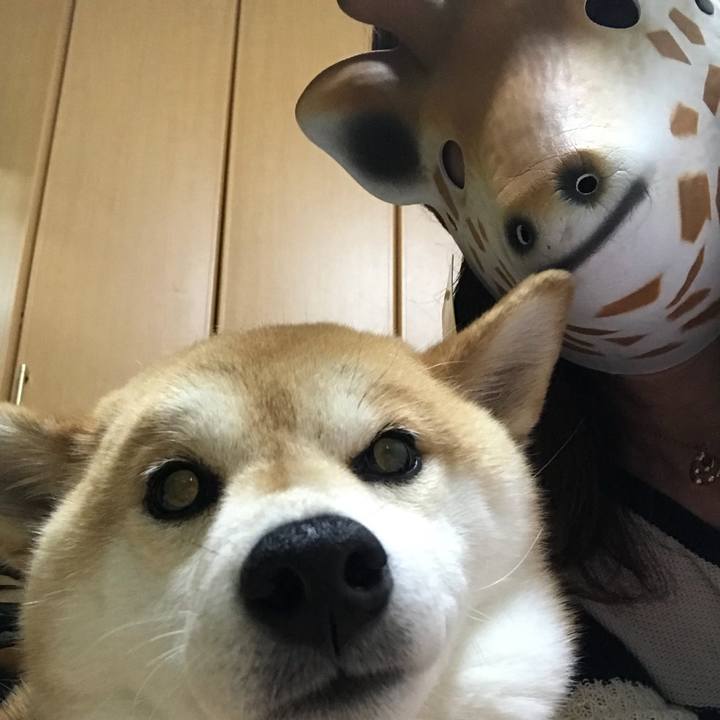 Bbb9526d 5f05 4255 ac7f f7e8ffa32cf9 1526487197835