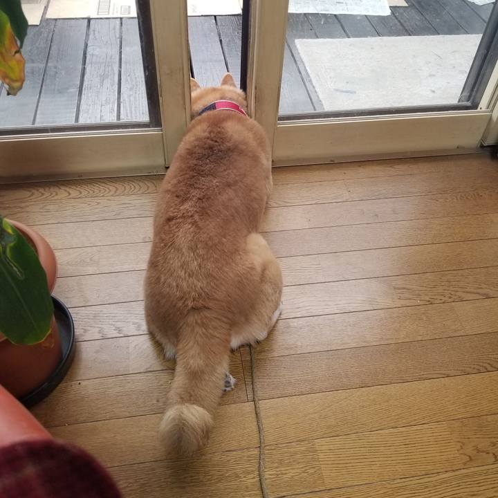 Bbb99728 9af6 435b 9739 36c3d0cf86e9 1709508677423