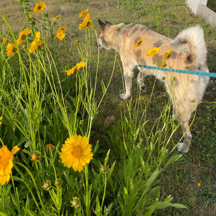 Bbb9bda5 ba3e 435c aaf9 e26344d3da76 1684326698078