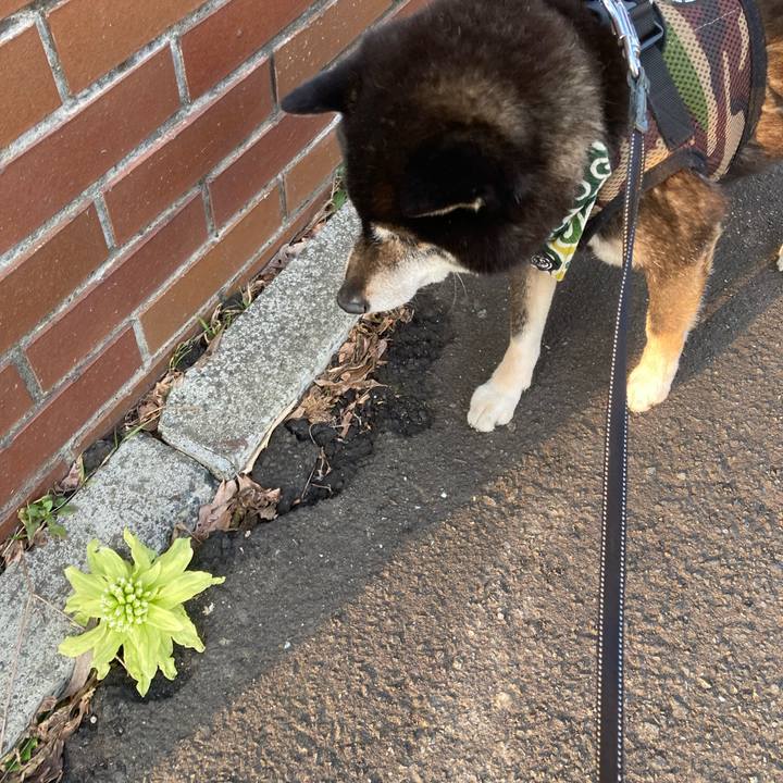 Bbb9e1d4 c457 4ce2 8d42 5bfe6bdfde18 1680587257360