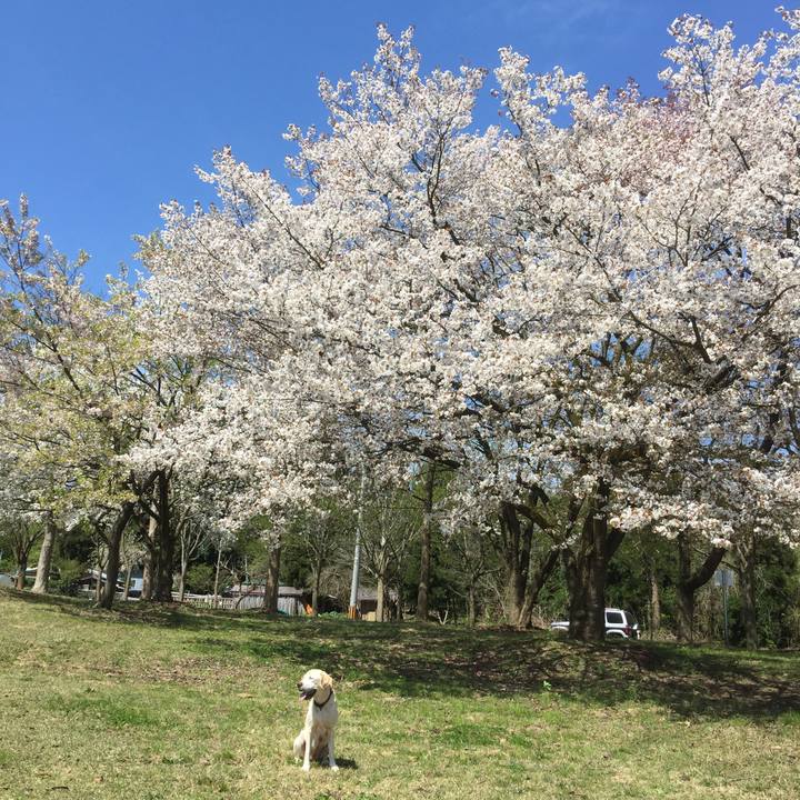 Bbba1246 74cd 40e1 a432 3cc5622d469a 1650027886367