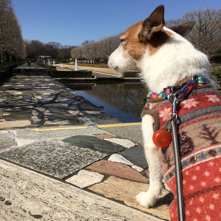 Bbba18d3 0b66 466d ad8e 233a130c8be6 1582585863609