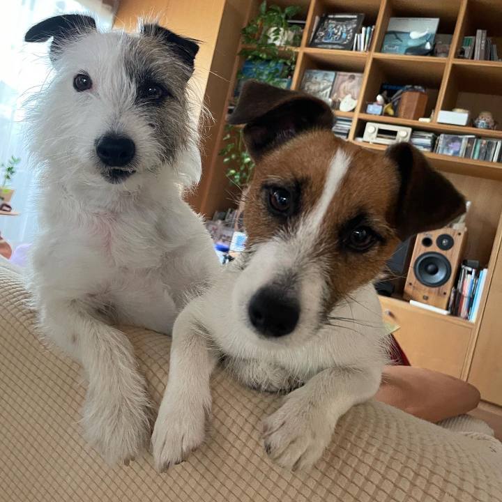 Bbba1bcf e5ee 40c5 93ff 05b5c63f747b 1652419400190